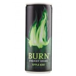 Burn Apple Kiwi 250ml x 12