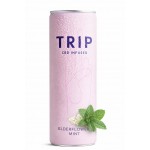Trip Fleur de Sureau & menthe 330 ml x 12